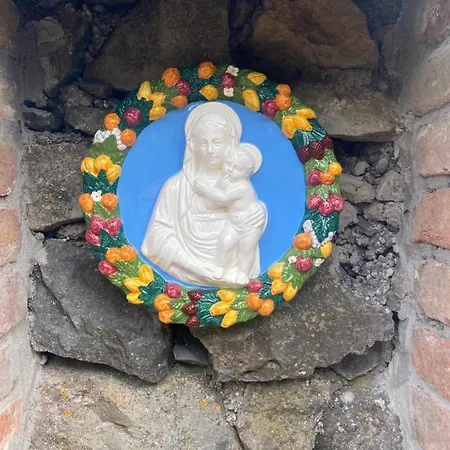 Flora Lavenda Zalahalap