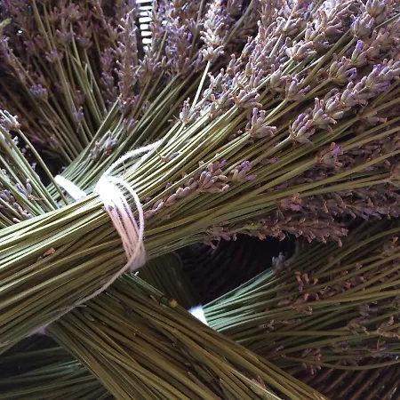 Βίλα Flora Lavenda Zalahaláp