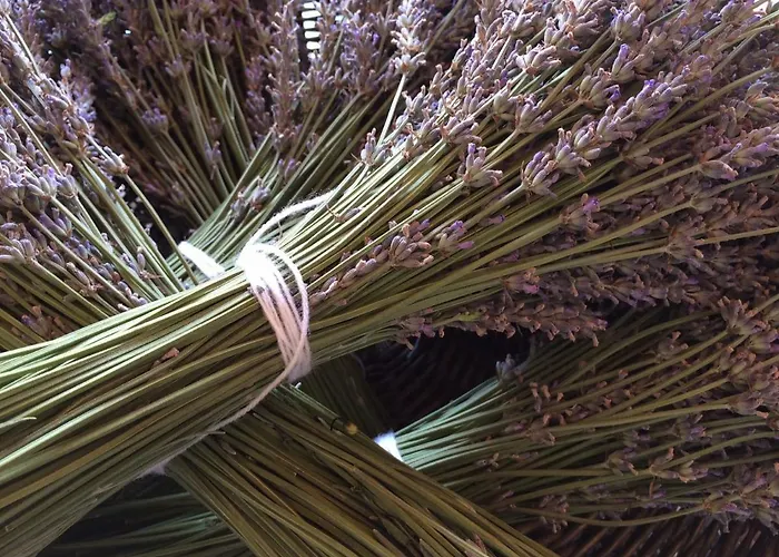 Villa Flora Lavenda Zalahaláp